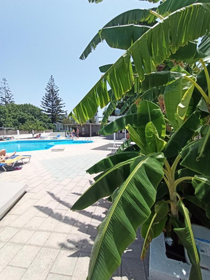 夏梦酒店 Theológos 外观 照片