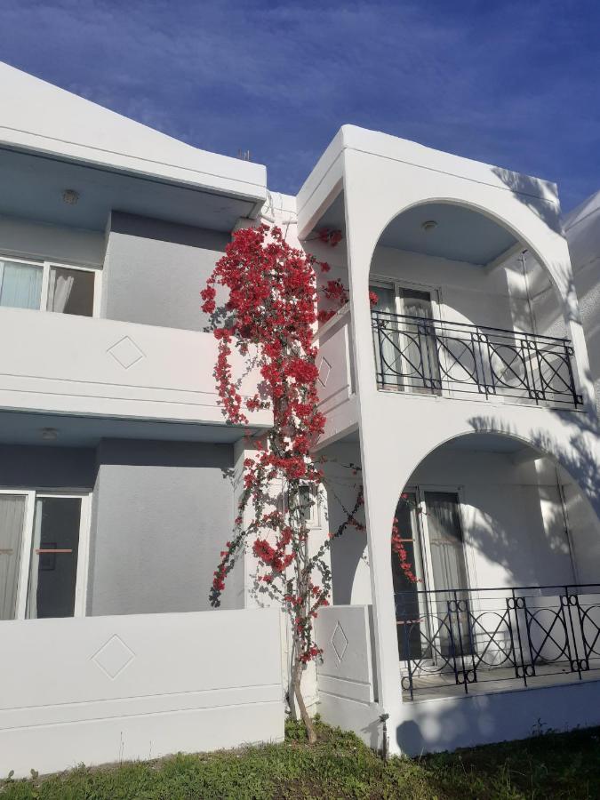 夏梦酒店 Theológos 外观 照片